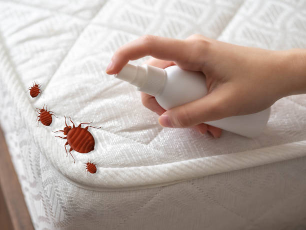 Emergency Pest Control Services in Penbrook, PA